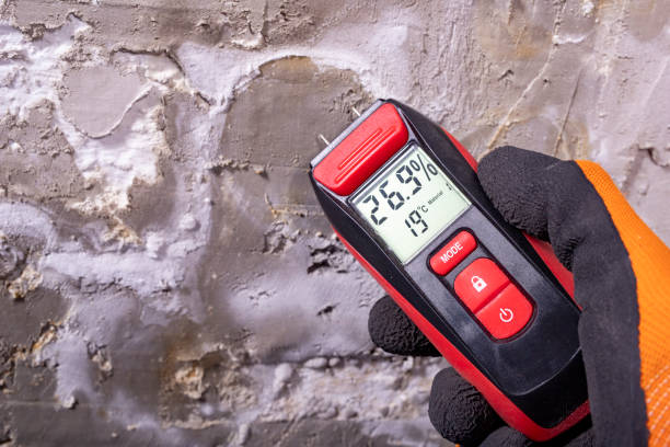 Best Certified Mold Removal  in Lonsdale, MN