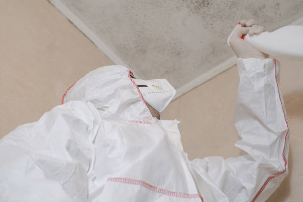 Crawl Space Mold Removal in Lonsdale, MN